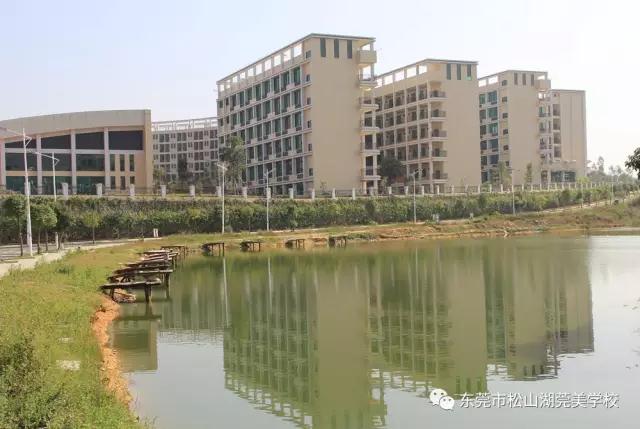 松山湖莞美学校小学部一年级招生264人_阳光