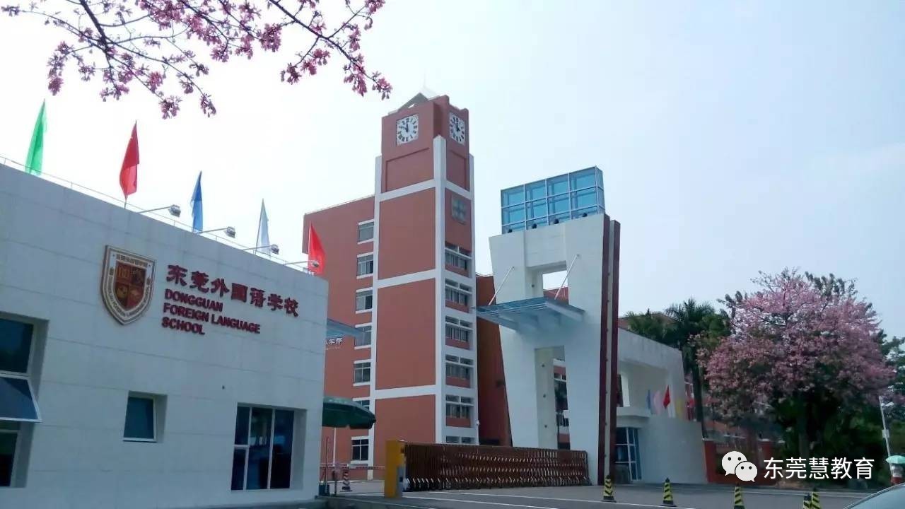东莞外国语初中2017年校花,学校招生简章小学玩初中图片