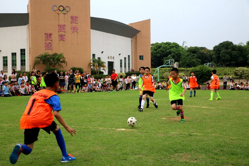 东莞市大朗镇新民小学