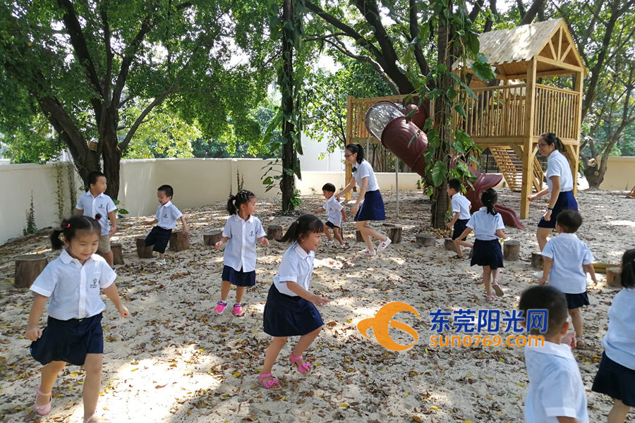 半数课程在户外 寮步建东莞首家森林探索体验式幼儿园