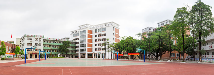 东莞市凤岗镇雁田小学