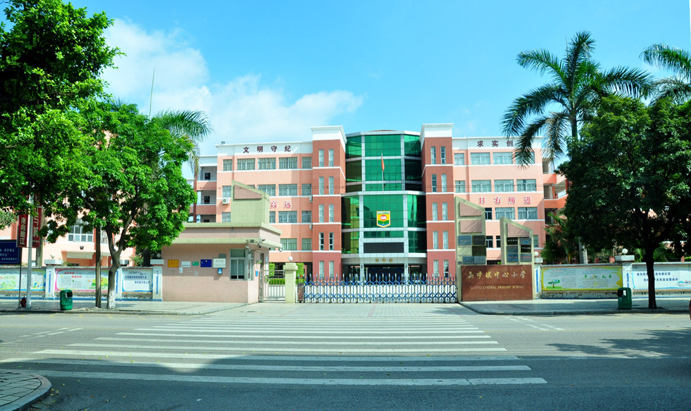 东莞市高埗镇西联小学全解析：办学特色、课程设置与招生信息一览