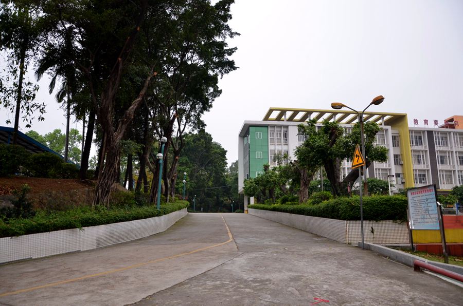 东莞市桥头镇第三小学