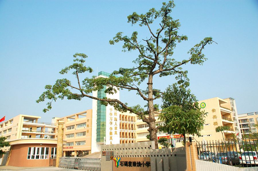 东莞市石碣袁崇焕小学