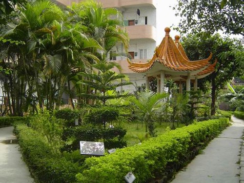 东莞市万江新村小学