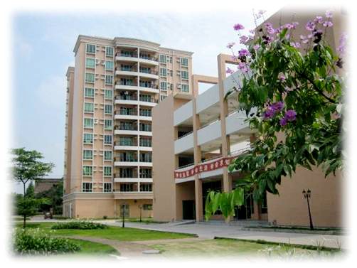 东莞市万江第一小学