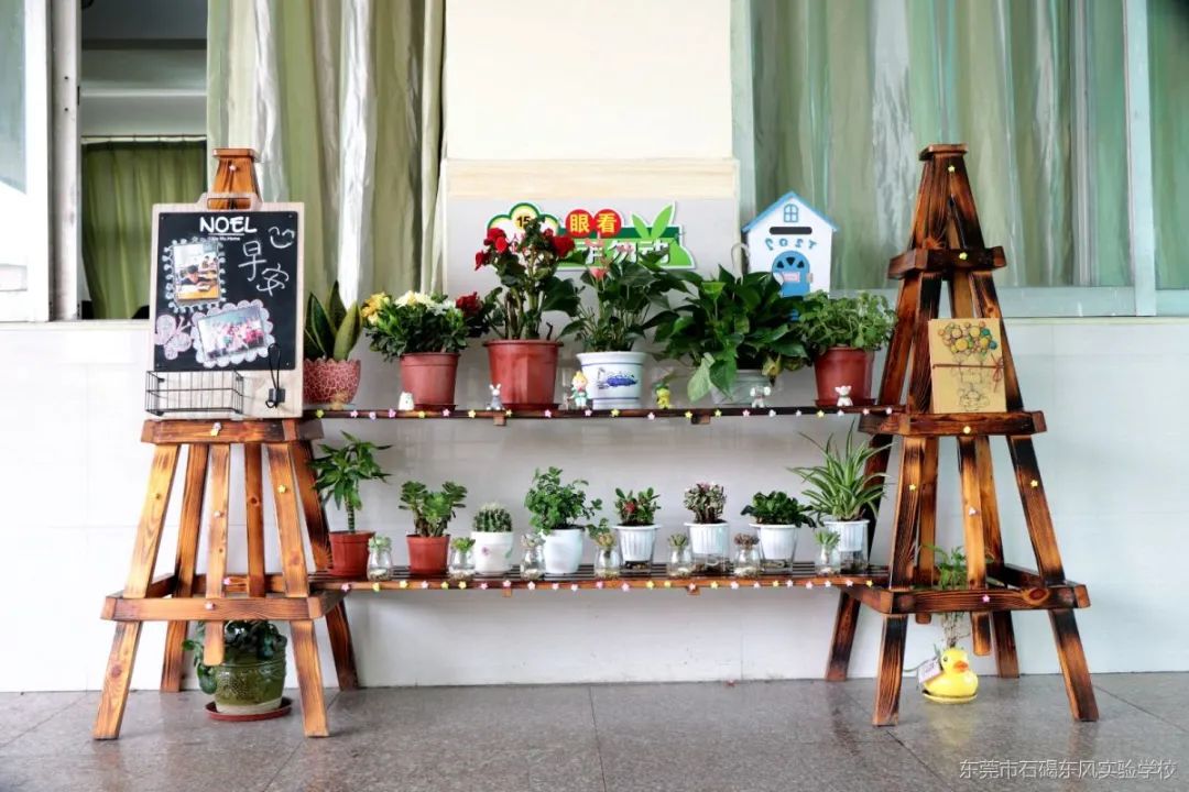 学生,家长看过来!石碣东风实验学校2020年招生简章公布