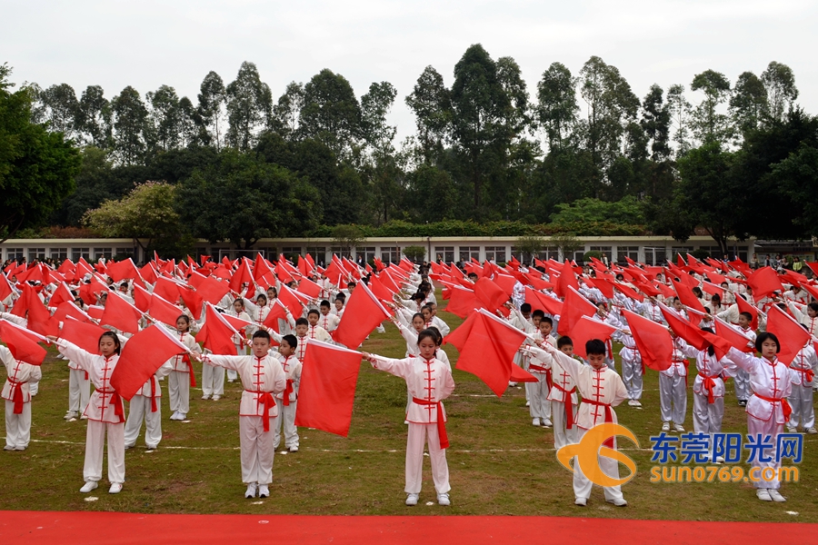 四年级舞旗,武术表演