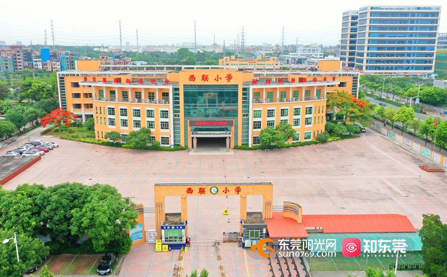 高埗镇小学